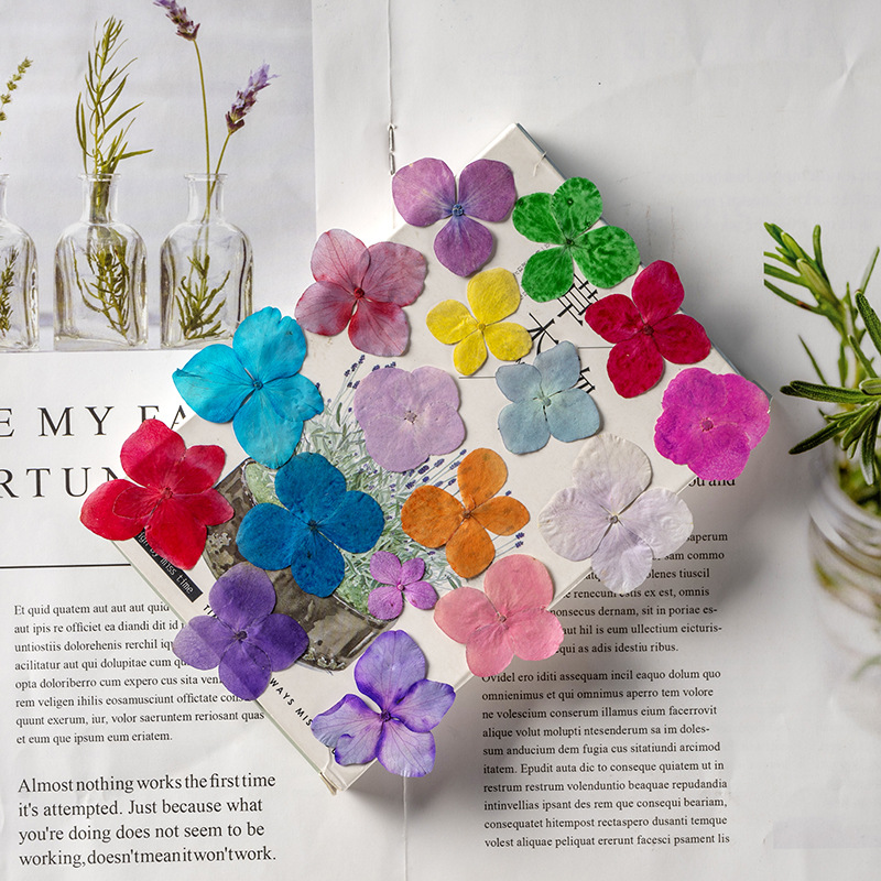 60個入り アナアジサイ 色吸収花 エポキシ樹脂ブックマーク - Nail Art Flower のレビューと価格